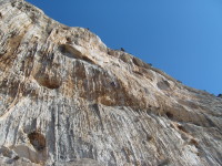 SNV80463.JPG